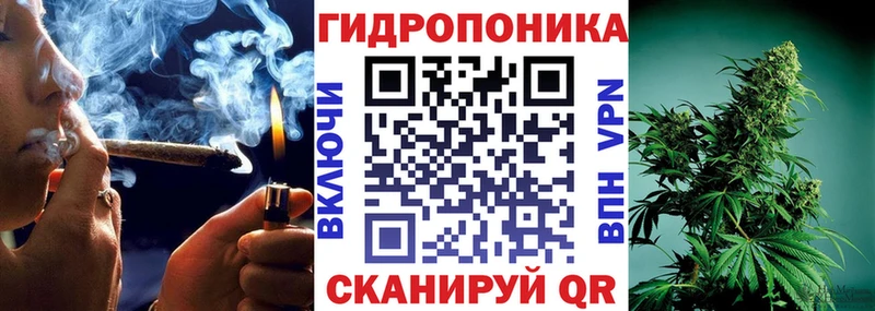 Виды наркотиков купить Артём Псилоцибиновые грибы блэк спрут вход Гашиш Марихуана Cocaine МЕФ