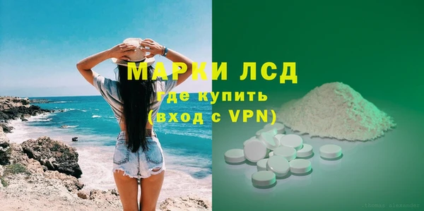стафф Алзамай