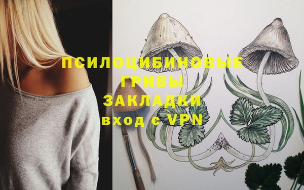 стафф Алзамай