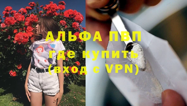 стафф Алзамай