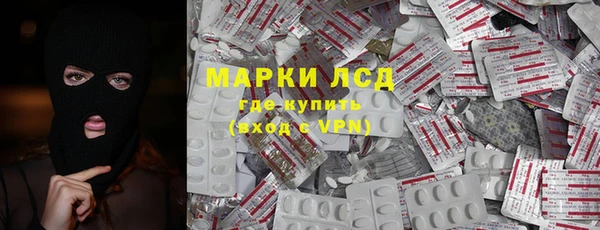 стафф Алзамай