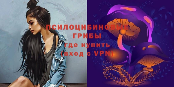 стафф Алзамай