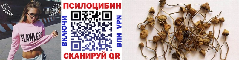 Псилоцибиновые грибы ЛСД Артём
